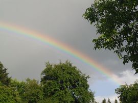Regenbogen_1.jpg